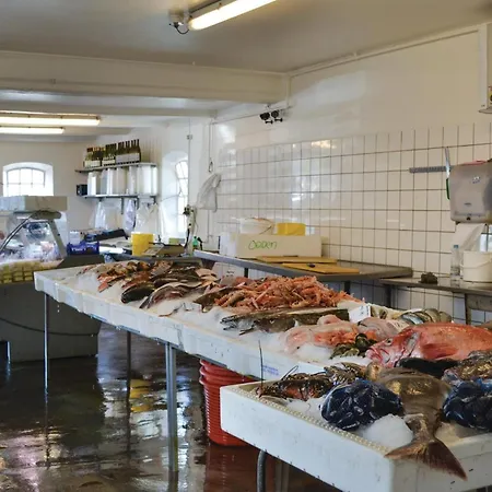 In Sjaellands Odde With Kitchen Yderby